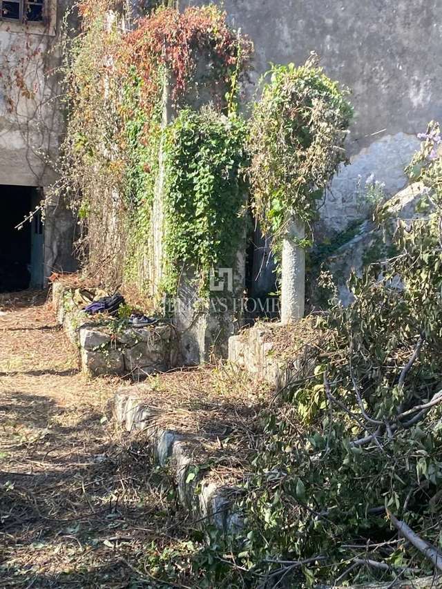 House u Dubrovniku, 2719m², 8 soba, slika 2