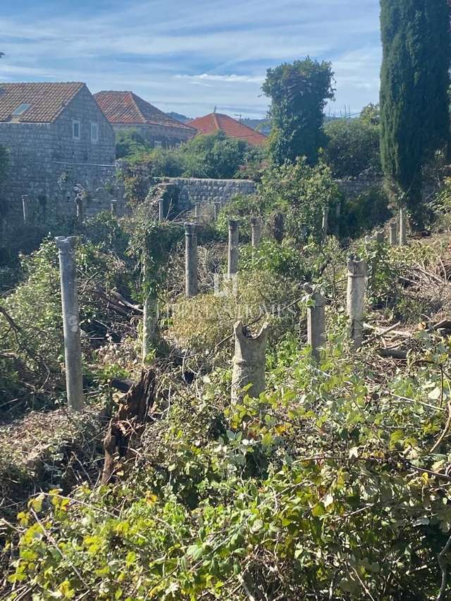 House u Dubrovniku, 2719m², 8 soba, slika 4