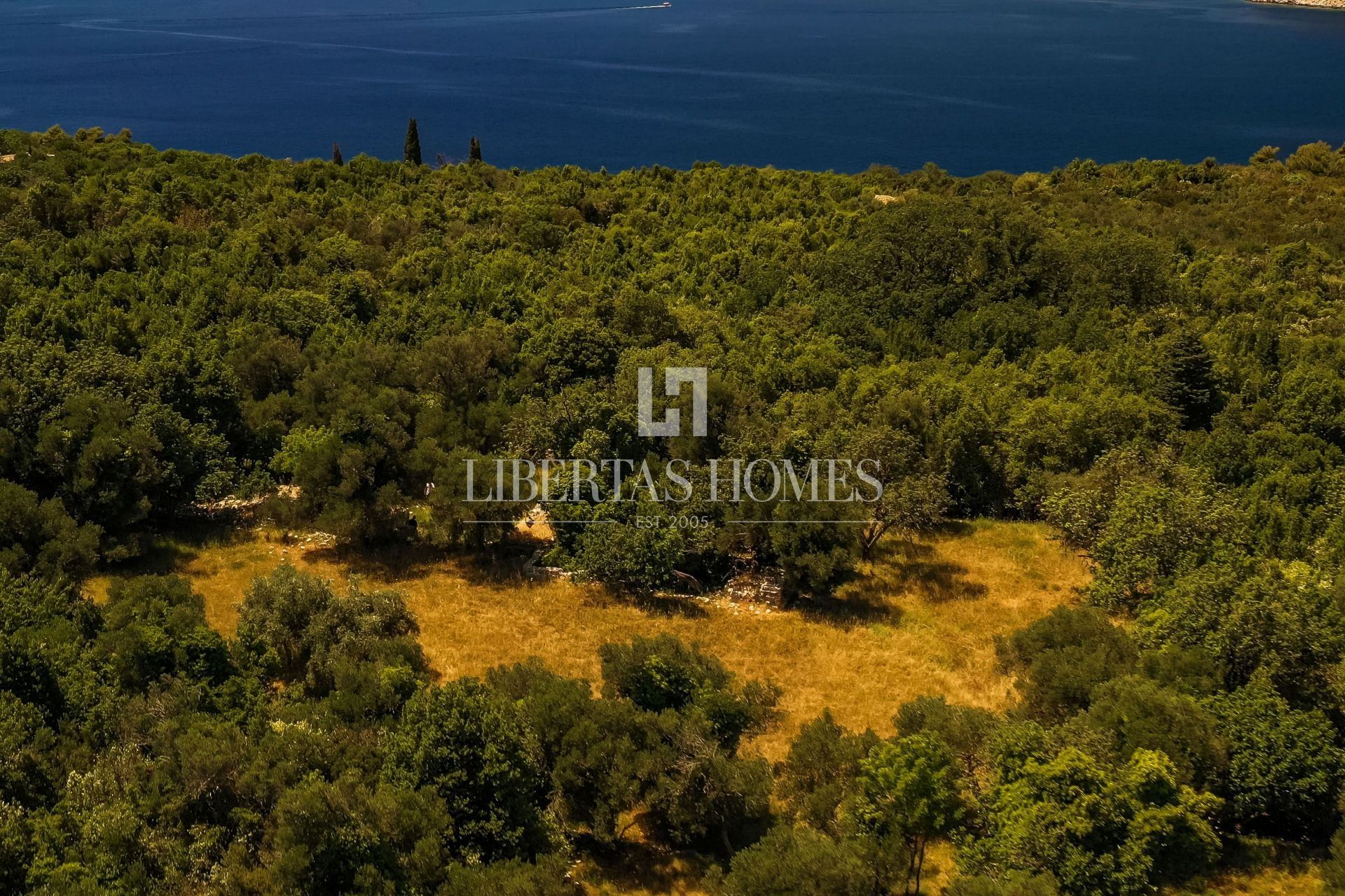 Grundstück u Dubrovniku, 10030m², slika 2