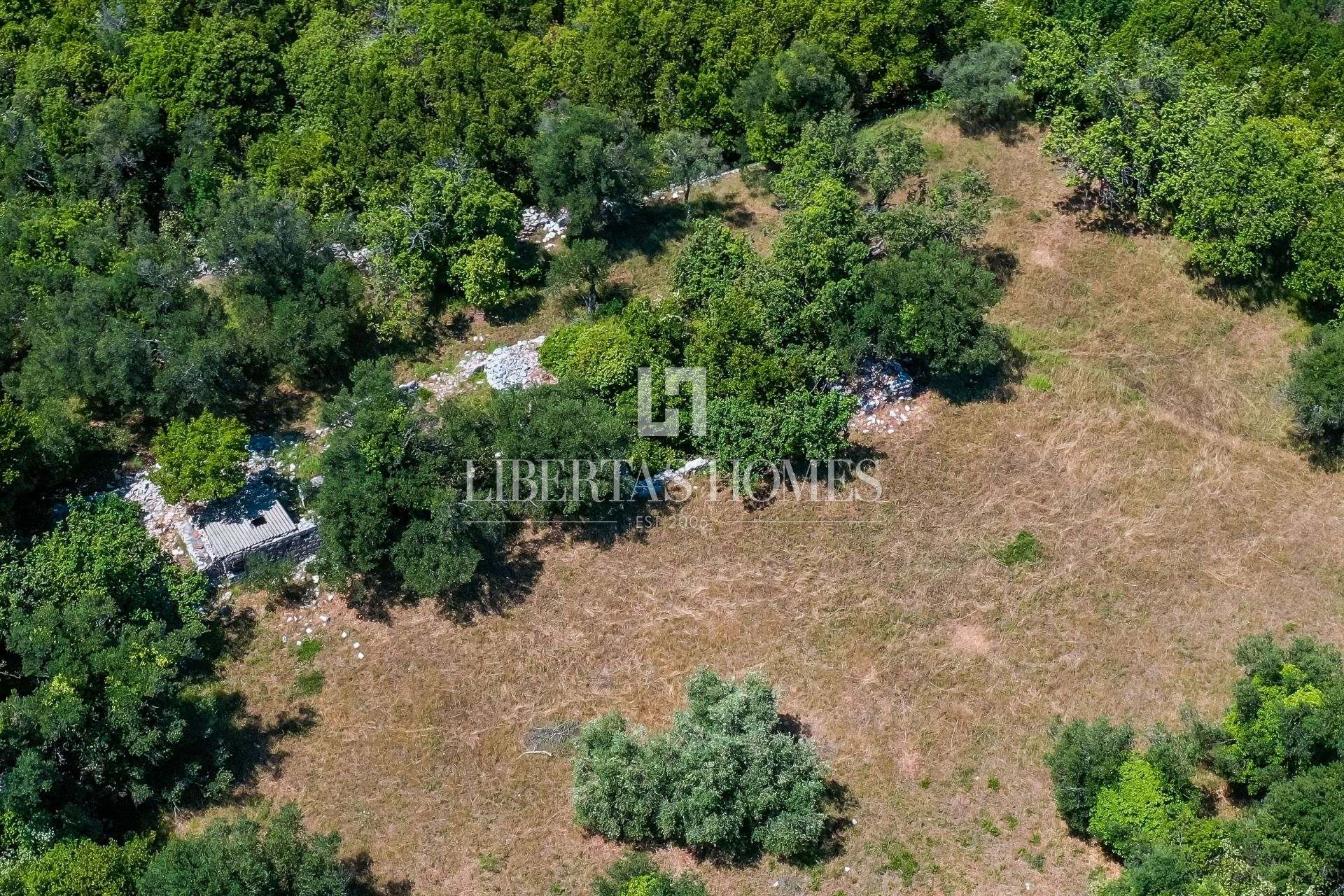 Grundstück u Dubrovniku, 10030m², slika 3