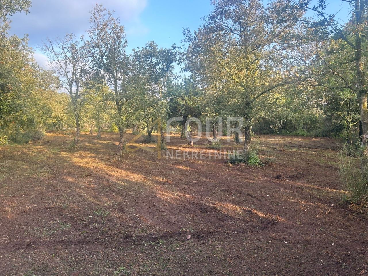 Grundstück u Vodnjanu, 3349m², slika 3