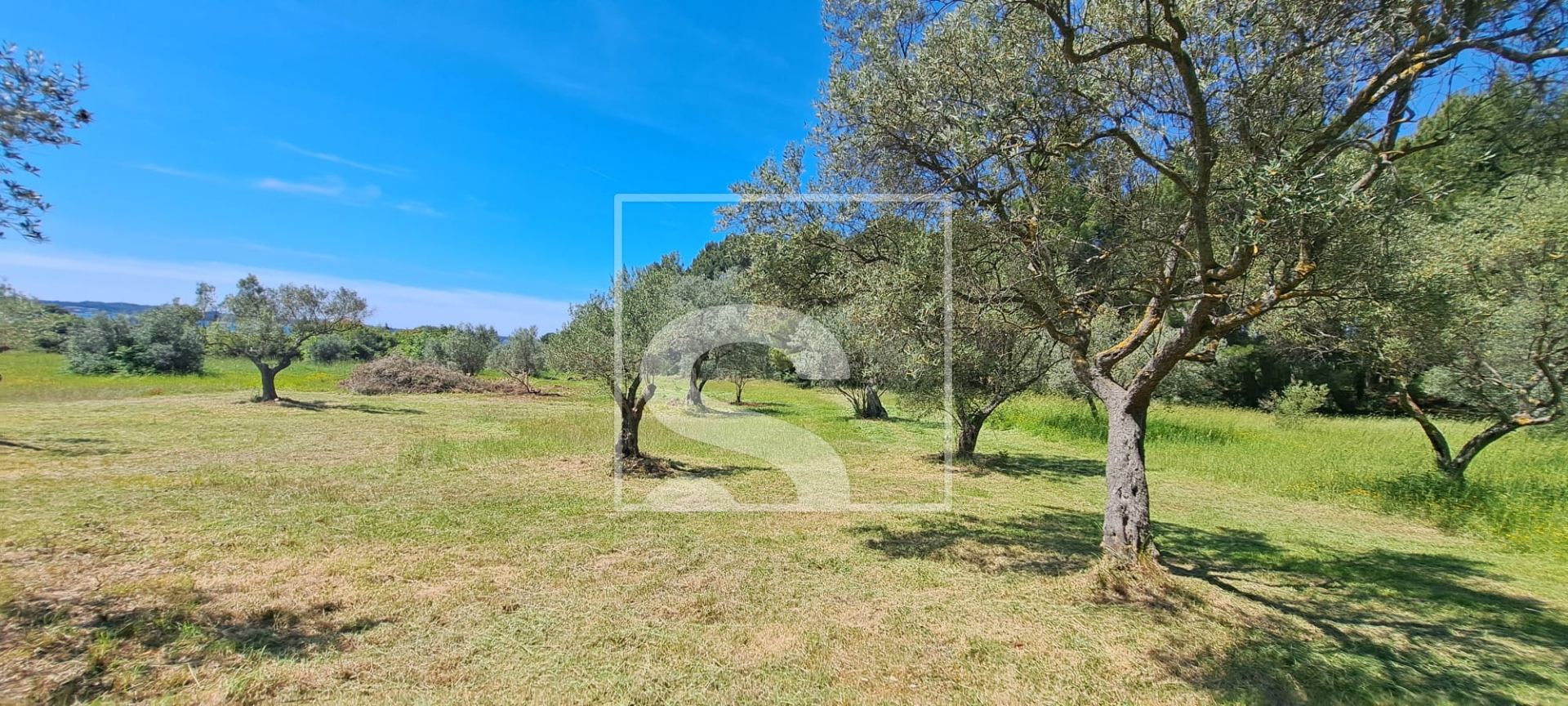 Land u Fažani, 2873m²