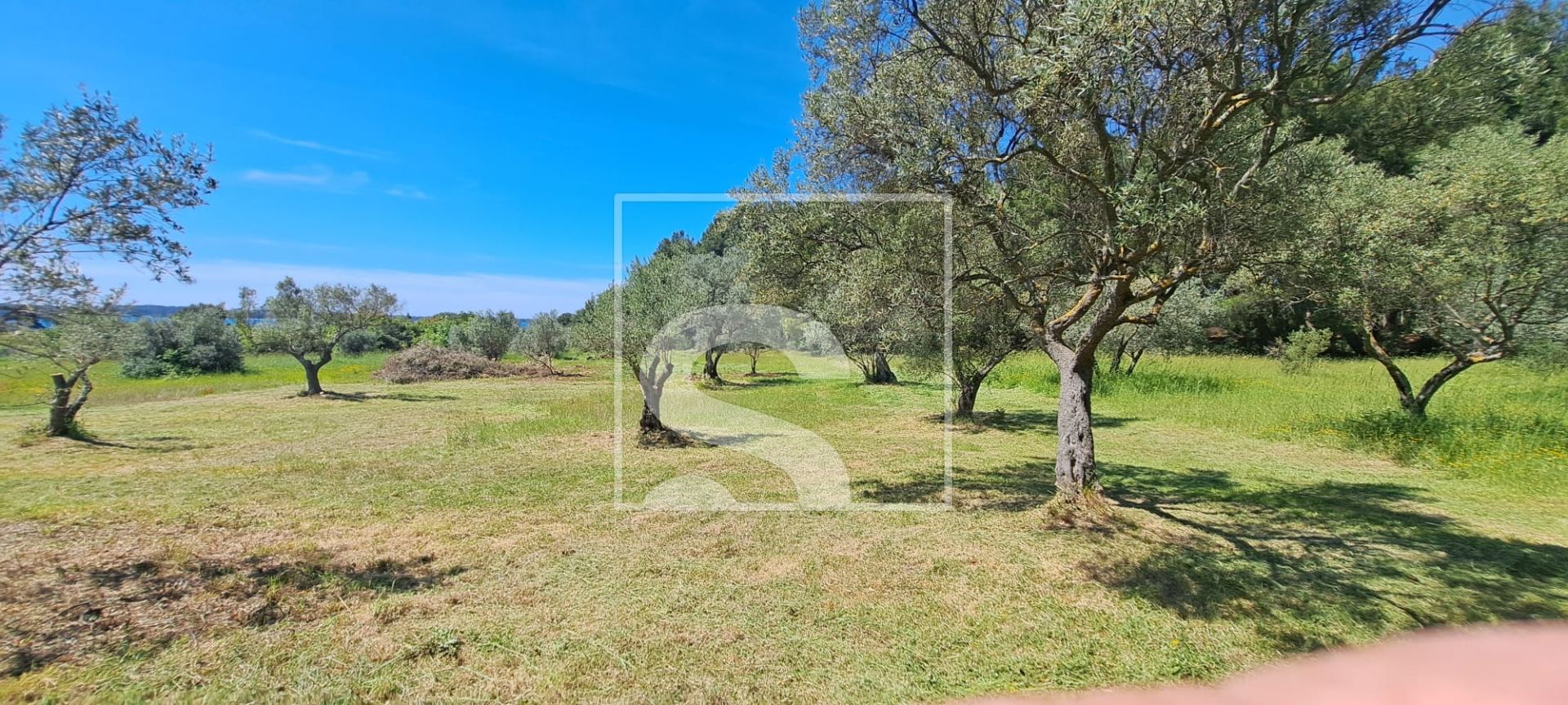 Land u Fažani, 2873m², slika 2