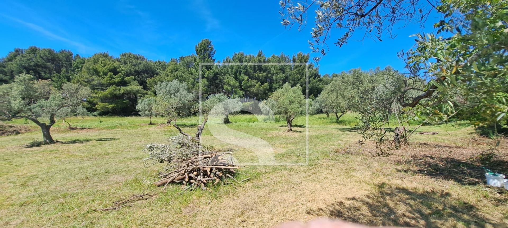 Land u Fažani, 2873m², slika 3