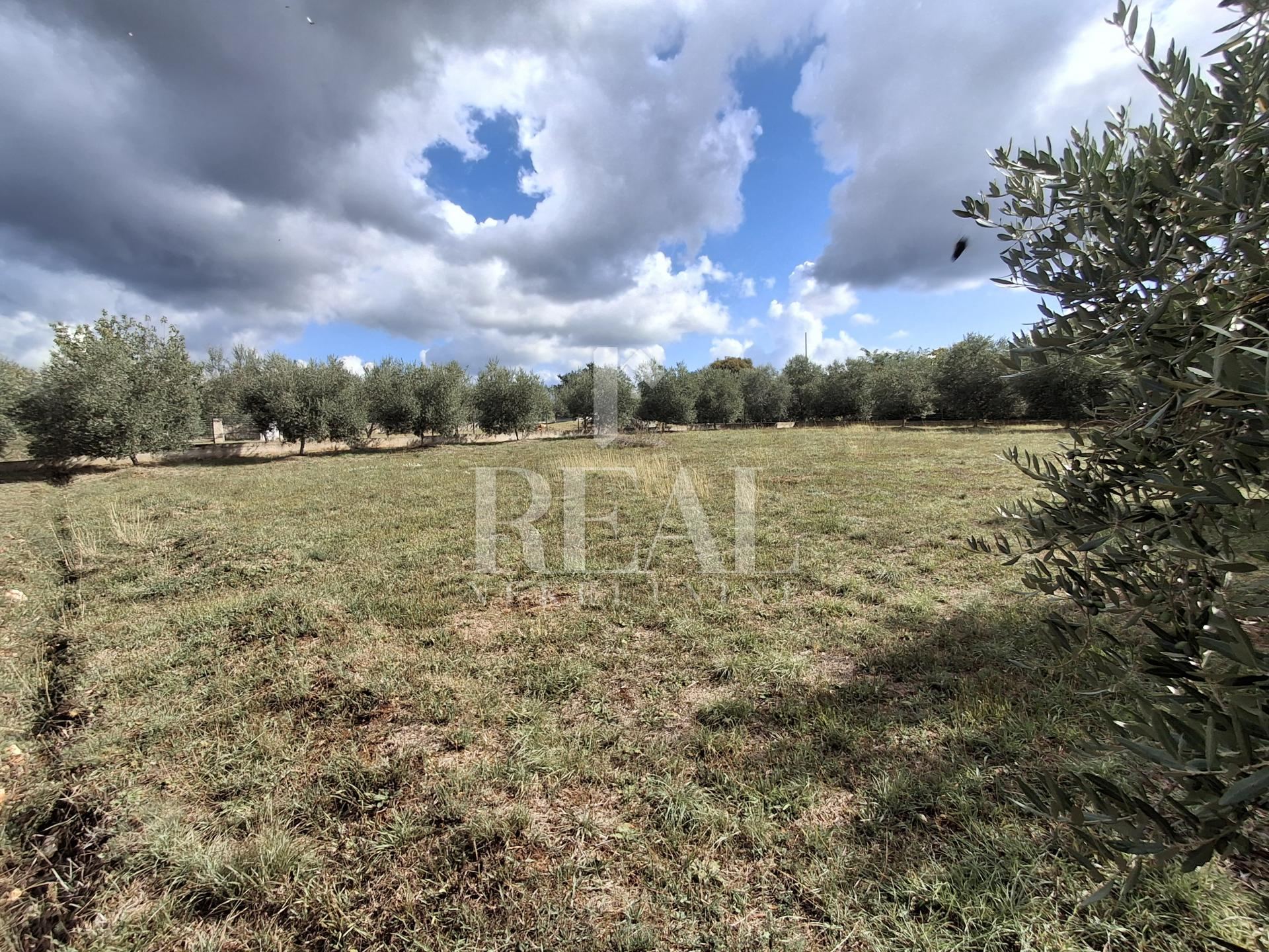 Terreno u Marčani, 1025m²