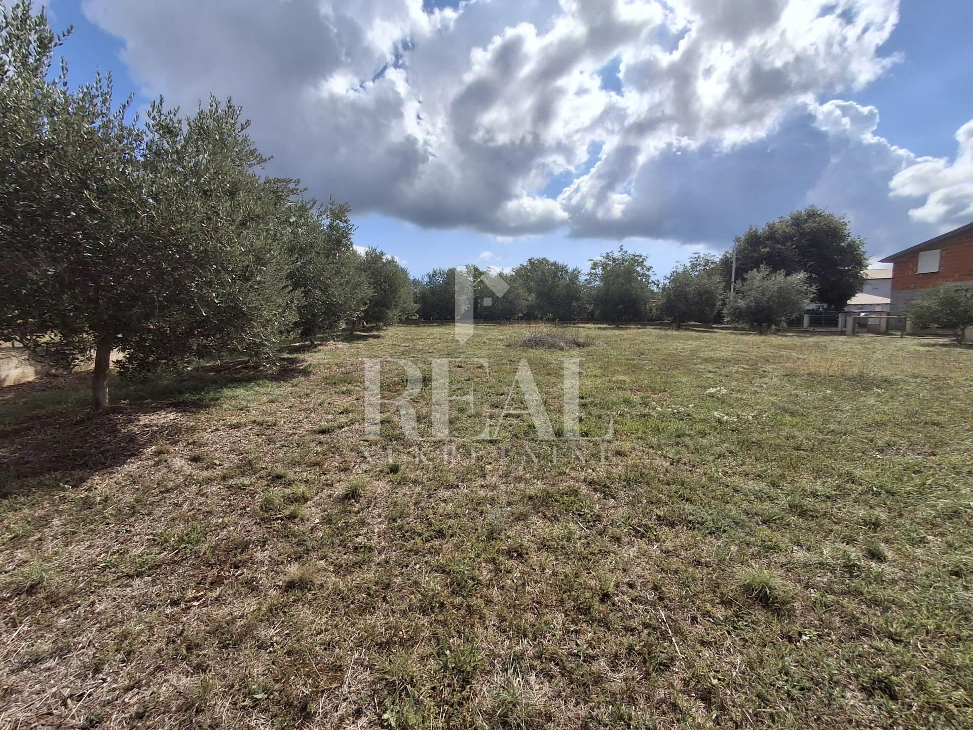 Terreno u Marčani, 1025m², slika 3