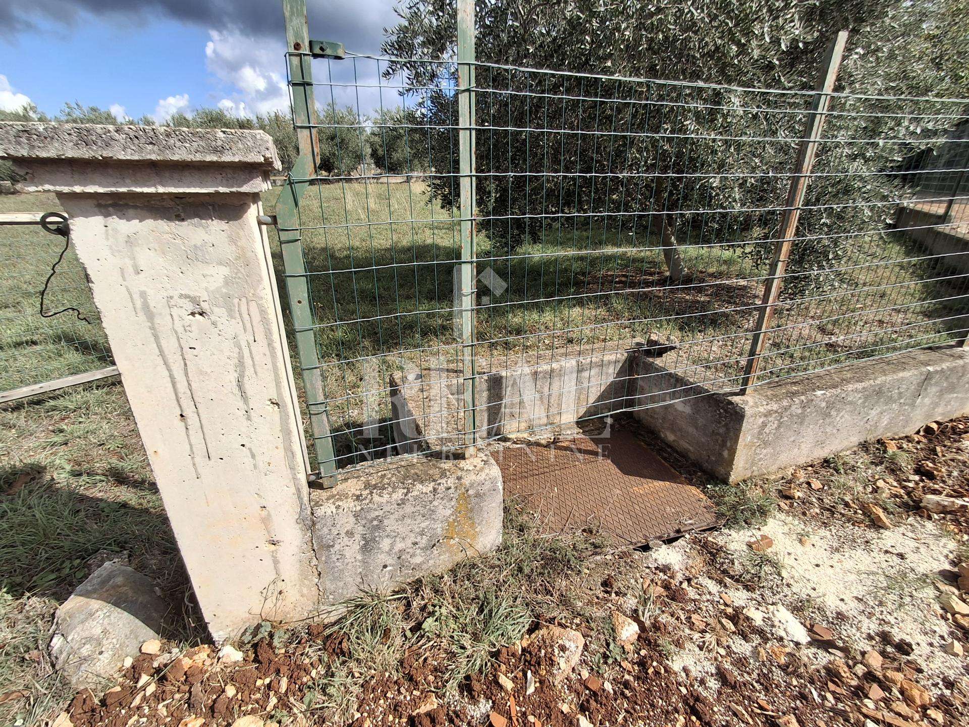 Terreno u Marčani, 1025m², slika 5