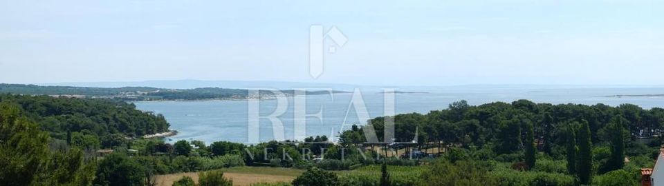 Locale commerciale u Medulinu, 860m², 26 soba, slika 2