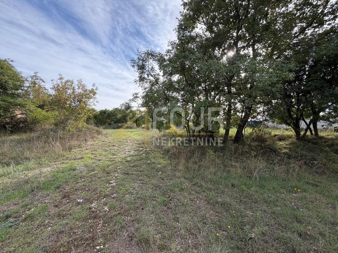 Land u Marčani, 603m², slika 3