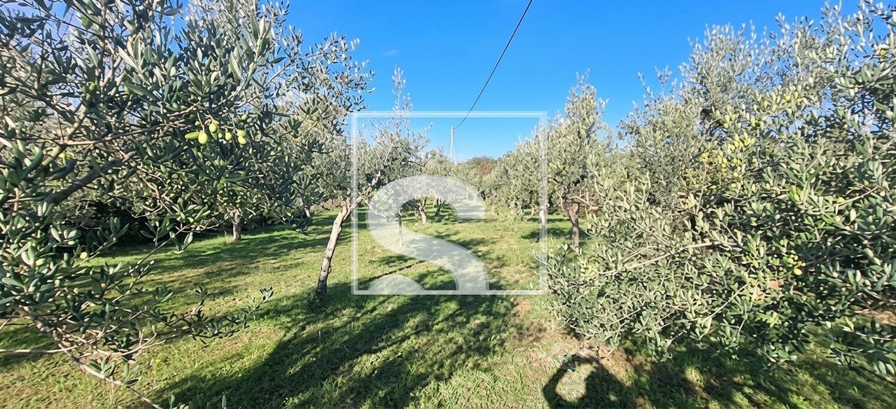 Grundstück u Oprtalju, 1631m², slika 2