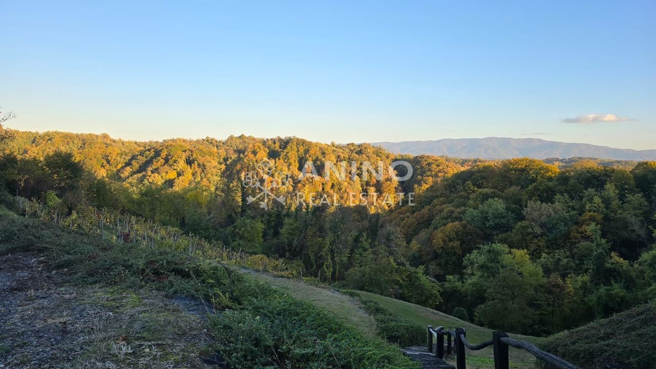 Grundstück u Veliko Trgovišću, 4238m², slika 4