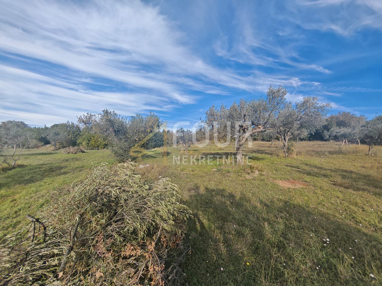 Grundstück u Puli, 2331m², slika 2
