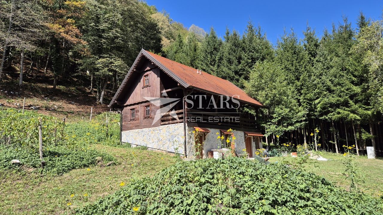 House u Vrbovsku, 250m², slika 3